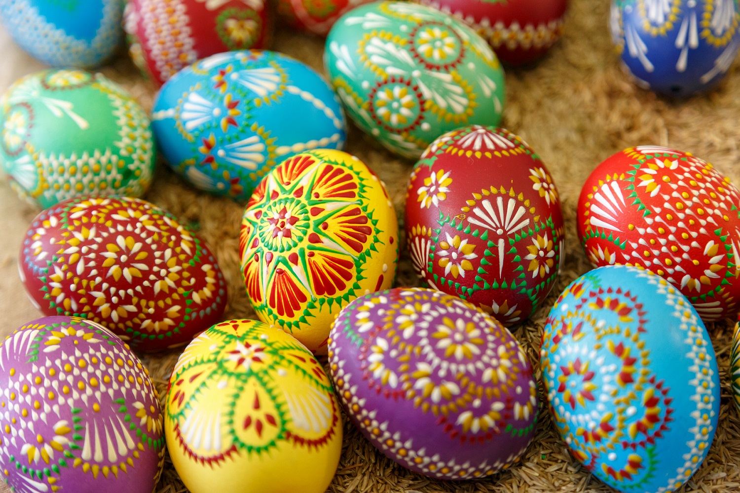 shutterstock_1626752734