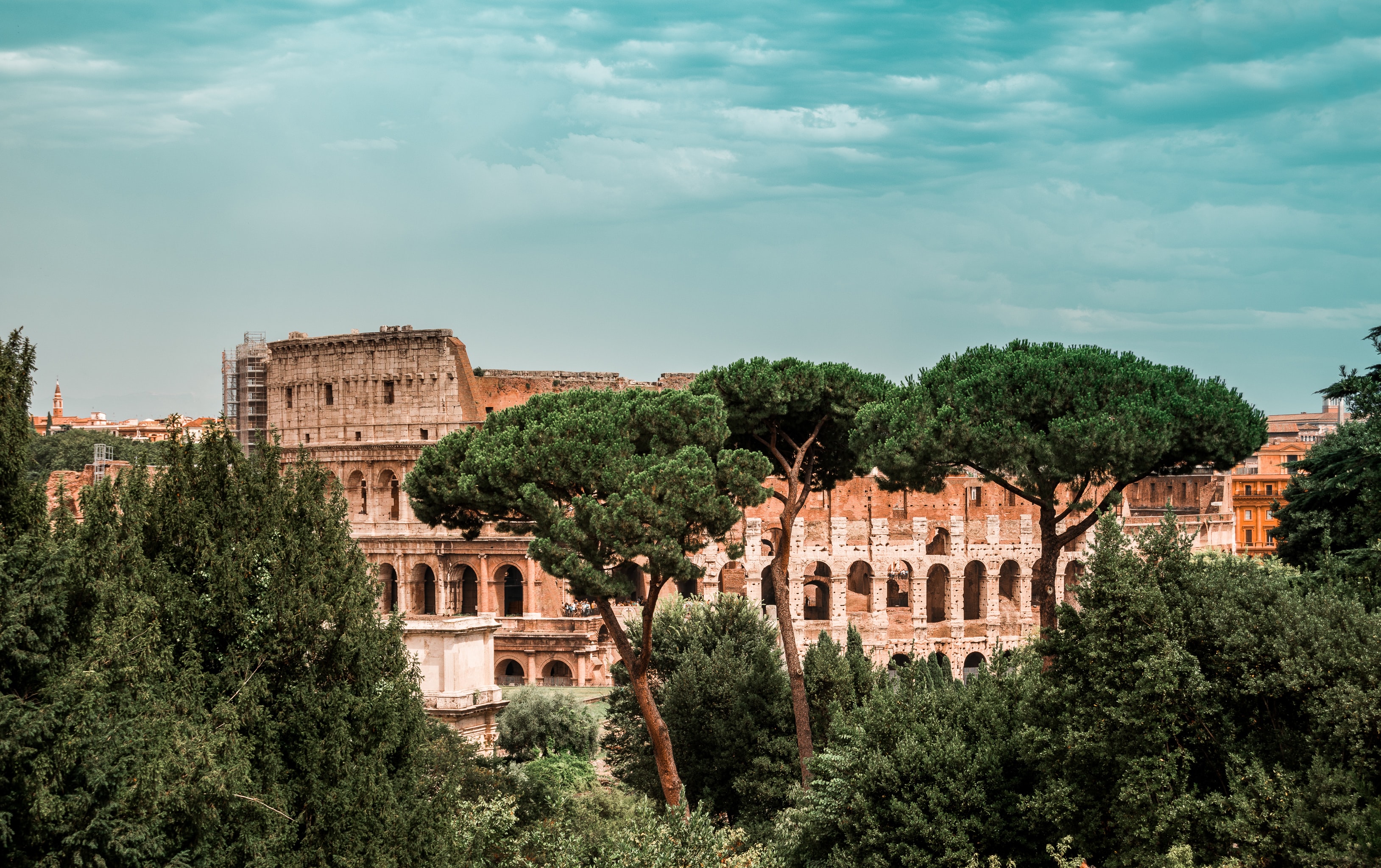 The Colisseum peaking out behind the trees.