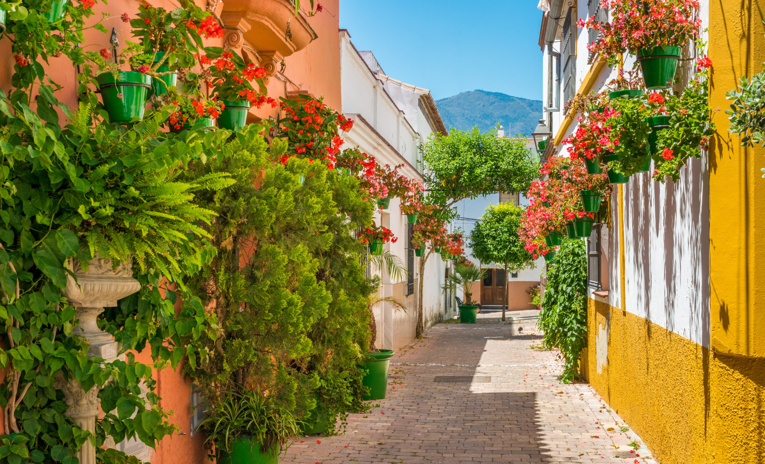 The beautiful Estepona, little town in the province of Malaga, S
