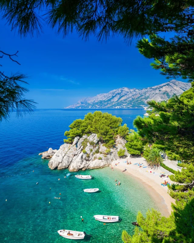 Kick off summer right over the June 4-day weekend (June 19–23) from Graf & K-Town! Explore stunning Lake Bled and Croatia’s breathtaking Istrian Peninsula, where charming towns, ancient history, and crystal-clear waters await ☀️🌊 

Price includes:

✓ Round-trip direct bus transportation
✓ 3 nights at a 4-star hotel near the beach
✓ Breakfast & dinner buffets
✓ Guided city tour of Poreč with a local expert
✓ Free time to enjoy Lake Bled, Slovenia
✓ Welcome drink on arrival
✓ Explore Europe Trip Leader

Tap the link in our bio to learn more about the trip!

_________________________________
Ready to see Europe without the stress of planning? Follow @exploreeuropetravel for travel ideas and military-friendly trips around Europe 🌎🚌✈️

#explorecroatia #4daytrip #grouptravel #militarytrips #militarycommunity #usmilitaryeurope #grafenwoehr
#kaiserslautern #ramstein #militarylifeabroad #livingoverseas #summerineurope #familytravel